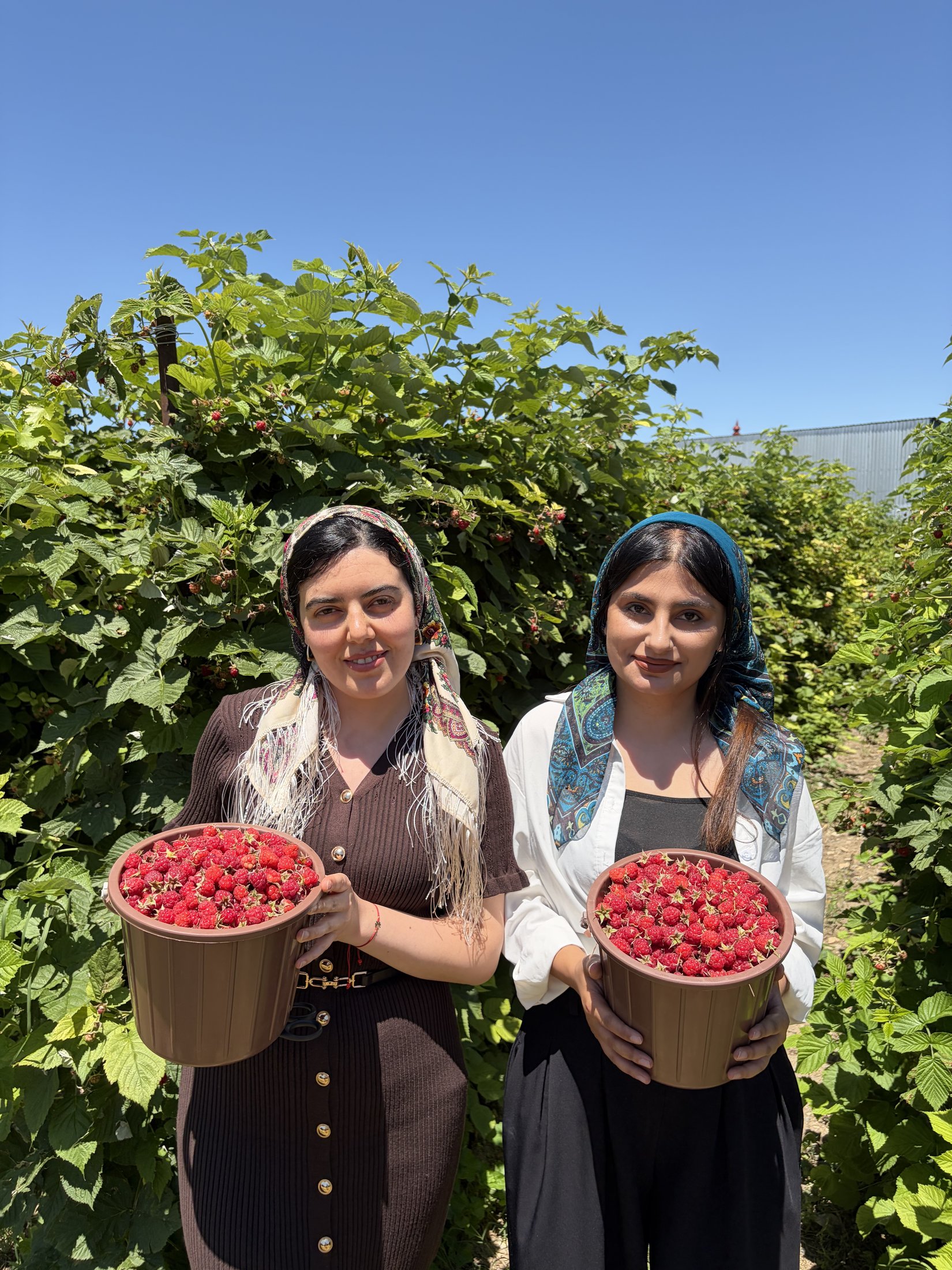 By Aurum Girls İcması